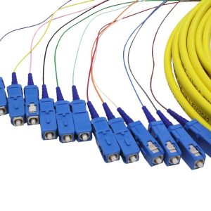 Fiber Connectivity - Multi-fiber Trunk Cables